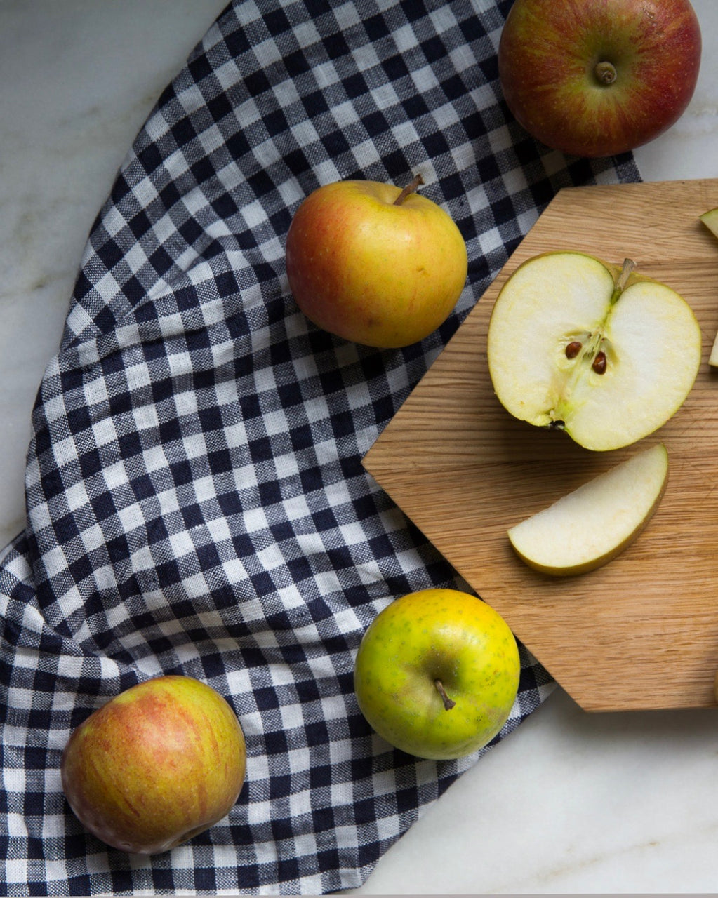 Kitchen Cloth: Navy White Check