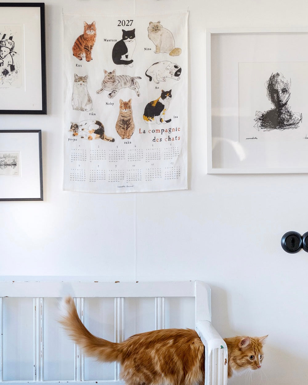 2027 Calendar Cloth: The Cat Company