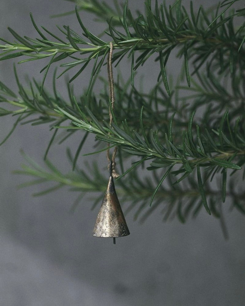 Pointed Bell: Small