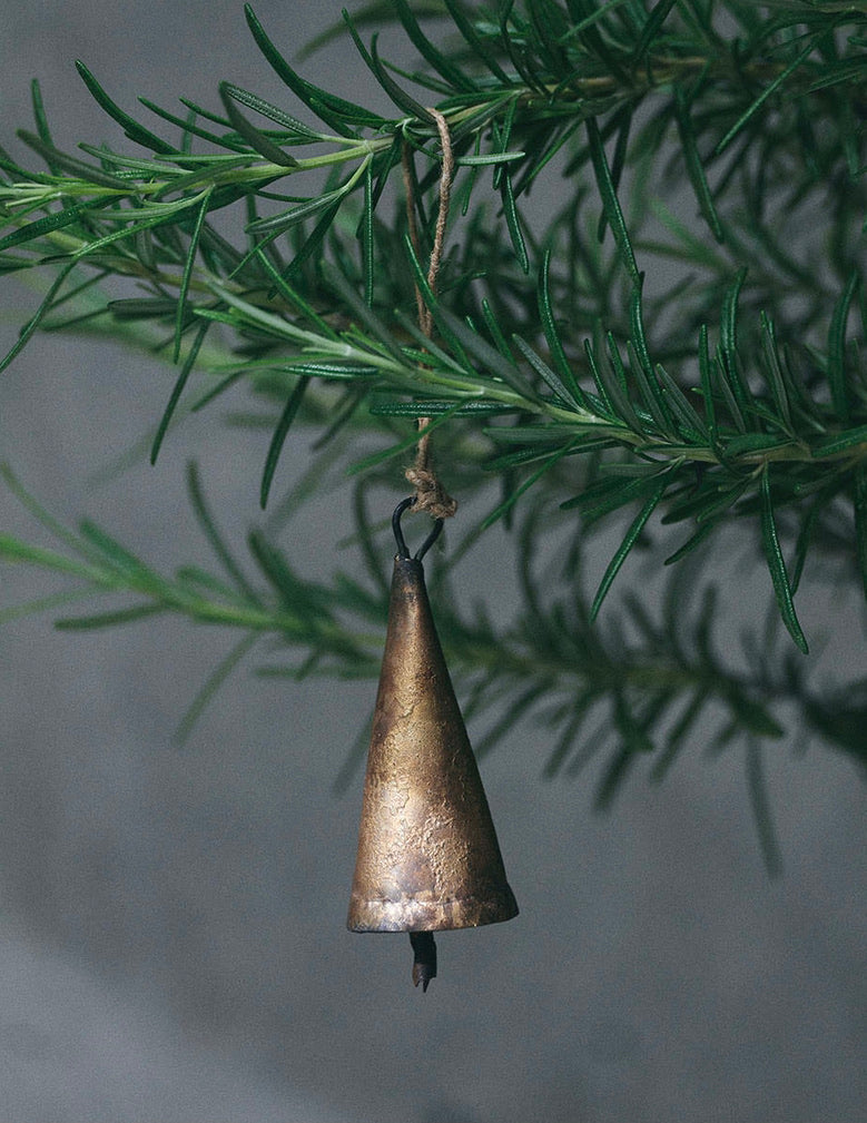 Pointed Bell: Medium